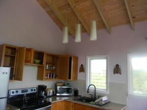 a kitchen with wooden cabinets and a sink and a window at Harbor Breeze Villas in Clarence Town