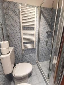 a bathroom with a toilet and a shower at Appartamento La Corte in Venice