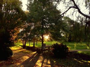 un banco del parque sentado en medio de un parque en Cabañas Las Dinas en Tandil