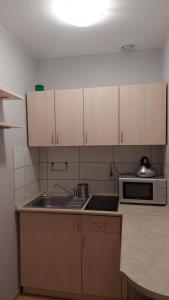 Kuchyňa alebo kuchynka v ubytovaní Apartamenty Suzyw Pilsko