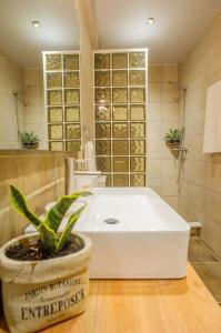 a bathroom with a white sink and a potted plant at Ether Villa in Theologos