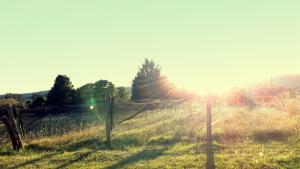 una cerca en un campo con el sol detrás de ella en Cabañas Las Dinas en Tandil