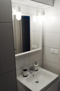 a bathroom with a sink and a mirror at Treehouse Apartments in Martinske Hole