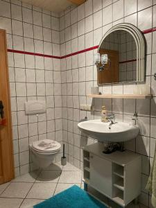 a bathroom with a toilet and a sink and a mirror at Lukashof in Waldmünchen