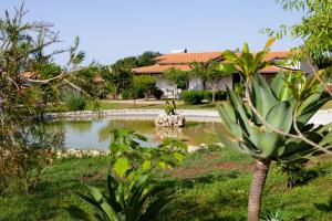 a garden with a pond in front of a house at Agriresidence Ninea - First row with seaview in Capo Vaticano