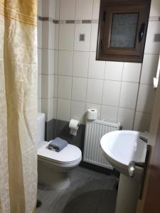 ein Bad mit einem WC und einem Waschbecken in der Unterkunft GERASIMOS HOYSE in Vitina