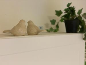 Zimratצימר מול פרדס的相册照片