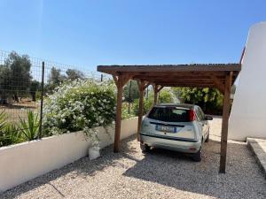 Zahrada ubytování Villa Connie