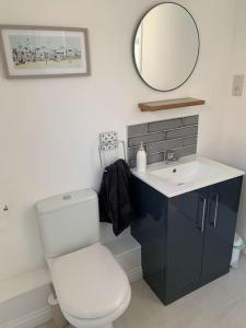 a bathroom with a toilet and a sink and a mirror at The Captain's Retreat, Quiet 1 Bed Dog Friendly in Puncknowle