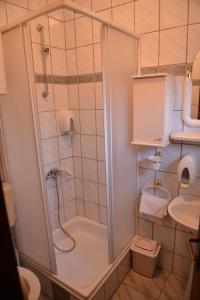 a bathroom with a shower and a toilet and a sink at Sneža in Apatin
