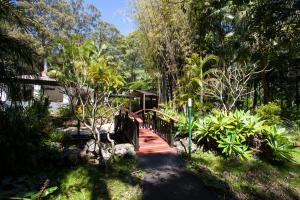 Songbirds Rainforest Retreat外面的花园