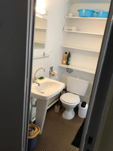 een badkamer met een wit toilet en een wastafel bij L'Idéal en Charteuse in Saint-Pierre-de-Chartreuse