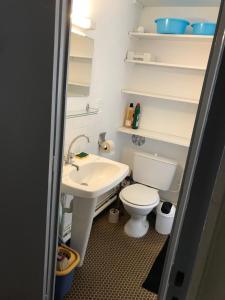 a bathroom with a white toilet and a sink at L'Idéal en Charteuse in Saint-Pierre-de-Chartreuse +10 photos