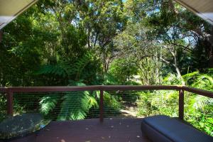 Songbirds Rainforest Retreat外面的花园