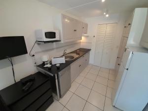 eine kleine Küche mit einer Spüle und einer Mikrowelle in der Unterkunft Studio Village Naturiste Purple & Angel in Cap d'Agde