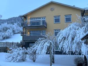 a house with snow covered trees in front of it at Åre Travel - Brygghusen in Åre