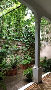 an ivy covered wall with plants in a patio at Casa Viva Hotel Boutique in Junín