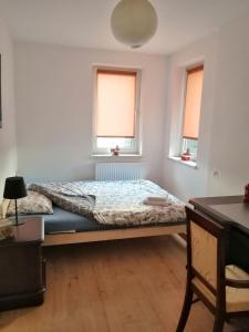 Cama en habitación con 2 ventanas en Grzyminska, en Szczecin