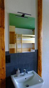 a bathroom with a sink and a mirror at Villa Lydia in Kurort Altenberg