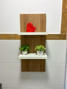 a shelf with two plants and a red heart on it at Acolhedor 2 quartos em ipiabas in Barra do Piraí