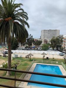 a palm tree sitting next to a swimming pool at DEPTOS LA SERENA in Coquimbo