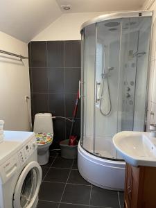 y baño con ducha, lavabo y aseo. en Apartament Wysoki Pl. Św. Ambrożego 8 en Międzybrodzie Bialskie