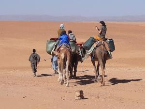 Khách lưu trú tại Sahara Peace