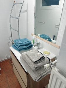 y baño con lavabo, espejo y toallas. en Appartement centre ville en Tournai