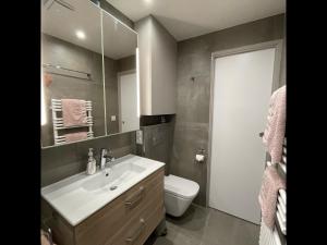 La salle de bains est pourvue d'un lavabo, de toilettes et d'un miroir. dans l'établissement Orpin, à Font-Romeu-Odeillo-Via