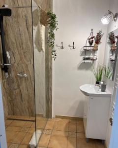 a bathroom with a shower and a sink at Chic Home in Sibiu
