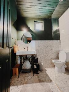 a bathroom with a sink and a mirror and a toilet at Cottage43 in Bărcuţ +39 photos