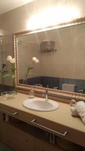 baño con lavabo y espejo grande en Arel, en Riumar