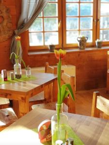 Reštaurácia alebo iné gastronomické zariadenie v ubytovaní Horský hotel Kolínská bouda