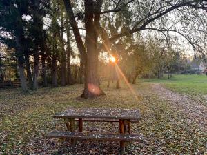 ÉtervilleにあるZénithouseの公園内の木の横に座るベンチ