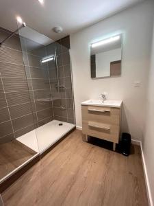 a bathroom with a shower and a sink and a mirror at LOFT DU BRAS DOR in Boulogne-sur-Mer
