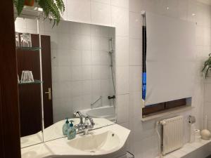 a bathroom with a sink and a mirror at Hotel Rido in Valkenburg