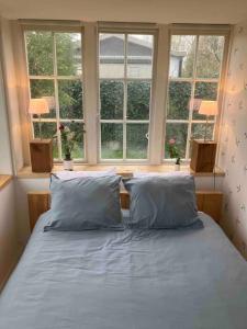 een bed met 2 kussens in een kamer met ramen bij Appartement de Tuinkamer in Kampen
