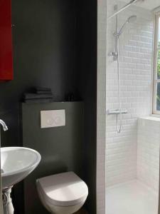 een badkamer met een wastafel, een toilet en een douche bij Appartement de Tuinkamer in Kampen
