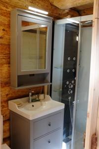 een badkamer met een wastafel, een spiegel en een douche bij L'ermitage des vallons in Sulniac