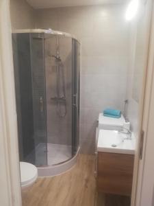 y baño con ducha, aseo y lavamanos. en Leśne Apartamenty, en Szczytno