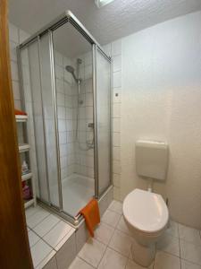 a bathroom with a shower and a toilet at Ferienwohnung am Waldrand in Tharandt
