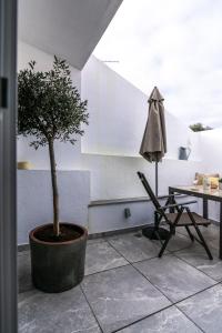 a plant in a pot next to a table and a chair at Casas da Oliveira in Setúbal