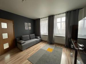 uma sala de estar com um sofá e duas janelas em Apartamenty Trzciana em Rzeszów