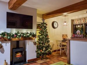 a christmas tree in a living room with a fireplace at Katy in Meare