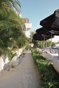 Zahrada ubytování Boutique Hotel EL NIDO Holbox