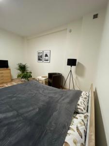 Telewizja i/lub zestaw kina domowego w obiekcie Apartamenty Trzciana