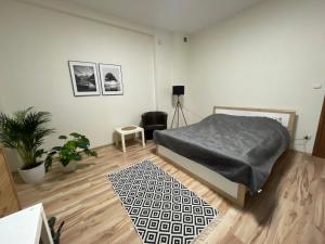 Łóżko lub łóżka w pokoju w obiekcie Apartamenty Trzciana