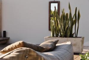 Posezení v ubytování Boutique Hotel EL NIDO Holbox