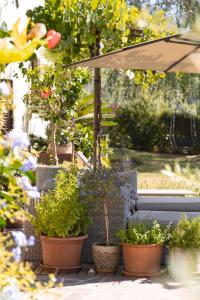 Zahrada ubytování B&B Unterhabsbergerhof