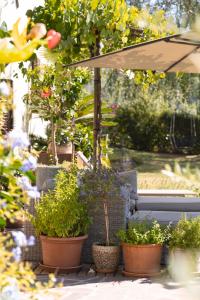 a group of potted plants on a patio with an umbrella at B&B Unterhabsbergerhof in Appiano sulla Strada del Vino